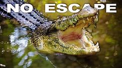 Exploring The Deadly Crocodile Infested Island | Crocodile Island | Wild Waters
