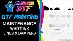 🔧 How to do Maintenance to White Ink, Lines, and Dampers on Epson L1800 Easy FIX - DTF Printing