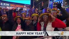 New Year's Eve revelers celebrate in Times Square