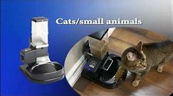 Timed Portion Controlled Pet Feeder (SUPER FEEDER®)-Infomercial / Assembly Video