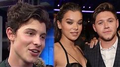 Shawn Mendes CONFIRMS Niall Horan & Hailee Steinfeld Relationship