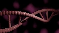 A 4K 3D DNA loop with a pinkish black background. Gene therapy, Gene splicing and DNA or RNA modification concept. Biology and genetics concept. Protein strands in DNA, 3d background abstract