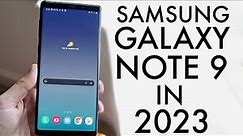 Samsung Galaxy Note 9 In 2023! (Still Worth It?) (Review)