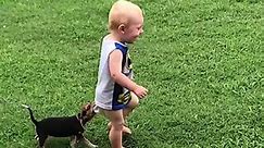 Cute Babies And Puppies Playing Together