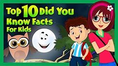 TO 10 DID YOU KNOW FACTS FOR KIDS | ENGLISH STORY COLLECTION | KIDS HUT RHYMES