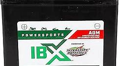 Interstate Batteries YTX16-BS 12V 14Ah Powersports Battery 230CCA AGM Rechargeable Replacement for ATVs, Motorcycles, Scooters (XTX16-BS)