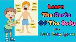 The Human Body For Kids | Learn The Parts Of The Body