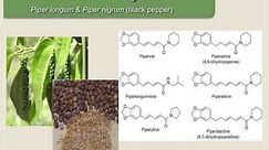 Pharmacokinetic Interactions: Other Examples