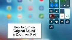 How to turn on Original Sound in Zoom on iPad