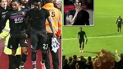 Crystal Palace player Pape Souare throws top into crowd only for it to be thrown straight back