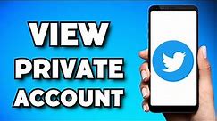How To View Private Twitter Account Without Following (2023 Guide)