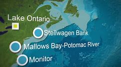 Shipwrecks are "time capsules" in the Stellwagen Bank National Marine Sanctuary