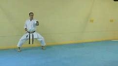 Demonstration of the Kata (Step by Step)