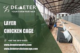 Image result for Chicken Cage