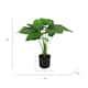 Image result for Artificial Ivy Plant
