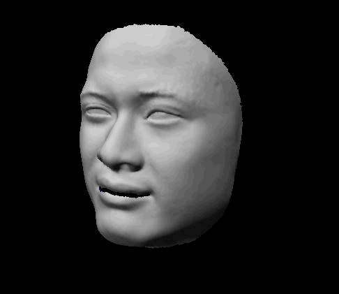 Facial Expression Synthesis 109