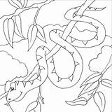 Snake Coloring Pages Animal Colouring Animals Wild Children Year Chinese Printable Snakes Sheets Kids Complex Jungle Color Zoo Detail Print sketch template