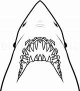 Jaws Shark Draw Clipart Drawing Jaw Easy Line Step Stencil Color Drawings Dragoart Coloring Pages Clipground Vector Getdrawings Guide Choose sketch template