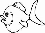 Fish Coloring Template Pages Gold Cartoon sketch template