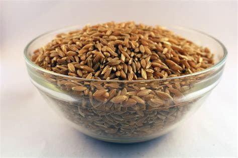 wheat khapli samruddhi organic