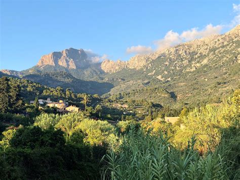 spotlight  soller