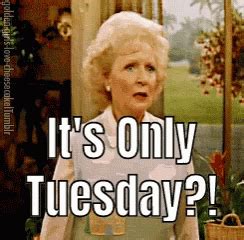 happy tuesday gif  memecandy find share  giphy