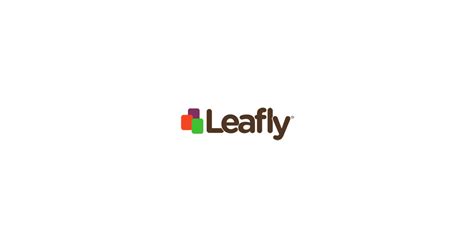 leafly announces european medical cannabis conference scheduled