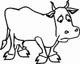 Cow Coloring Pages Cartoon Dairy Color Sad Drawing Getcolorings Farm Getdrawings Printable Farmer sketch template