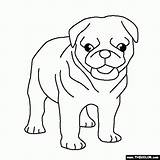 Coloring Pages Pug Dog Puppy Library Clipart Bulldog French sketch template