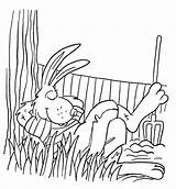 Sleeps Rabbits Granja Descansando Conejito sketch template