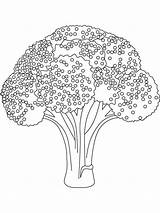 Broccoli Coloring Pages Color Vegetables Print Recommended sketch template