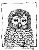 Owl February Barred sketch template