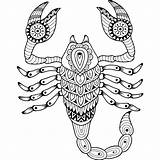 Scorpio Scorpione Scorpion Zodiac Adulto Vettore Siluetta Segno Isolata Zodiaco Sott sketch template