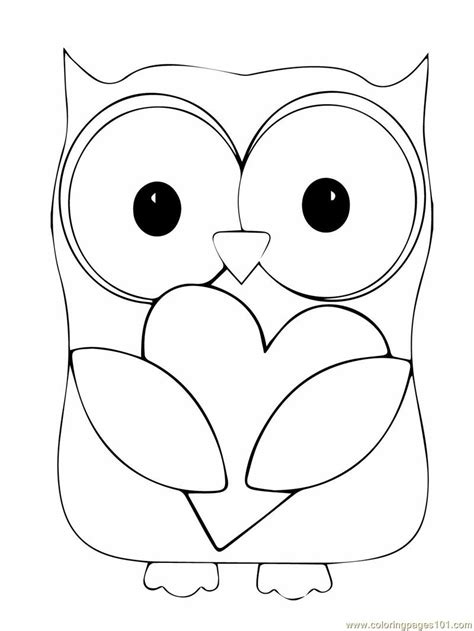 coloring pages owl birds owl  printable coloring page