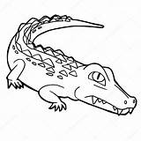Kleurplaten Krokodil Crocodile Tekenfilm sketch template