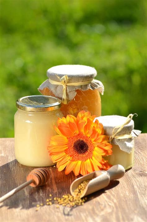 Gläser Voll Köstlicher Honig Und Bienenblütenstaub Stockfoto Bild
