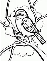 Bird Coloring Pages Printable Colouring Template Templates Box These sketch template