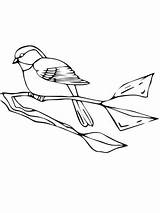 Chickadee Capped Coloring sketch template