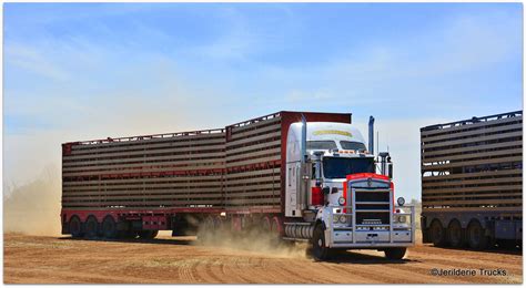 double livestock truck osullivans road train kenworth trucks