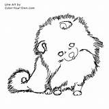 Pomeranian Coloring Pages Puppy Color Dog Drawing Line Book Printable Sheets Kids Getcolorings Index Getdrawings Template Own sketch template