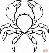 Crabe Crab Krabbe Ausmalbilder Ausmalen Kids Bleu Schere Scheren Riesigen sketch template