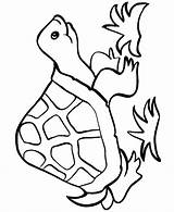 Coloring Pages Easy Turtle Printable Color Colouring Kids Drawings Simple Tortoise Print Book Clipart Toddlers Clip Line Cliparts Baby Shapes sketch template