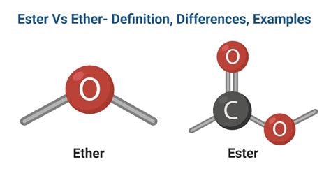 ester  ether definition differences examples phd nest