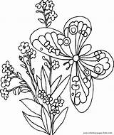 Butterfly Coloring Pages Butterflies Flowers Color Kids Print Para Colorir Cycle Life Flower Printable Animal Sheets Borboletas Flor Flores Schmetterling sketch template