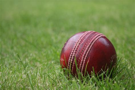 cricket ball indoor cricket  outdoor cricket photo  fanpop