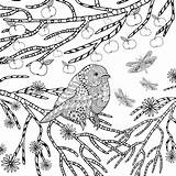 Zentangle Stylized Blumengarten Vogel Tropischen Stilisierte sketch template