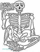 Human Coloring Pages Body Getcolorings Printable Color sketch template