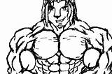 Bodybuilding sketch template
