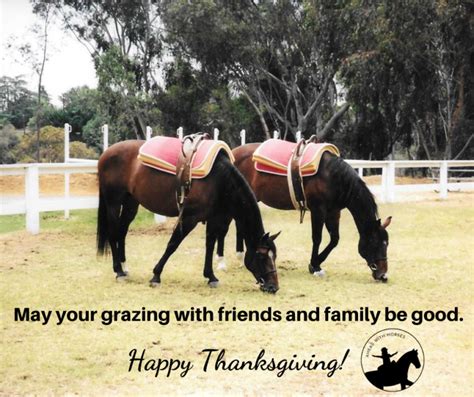 happy thanksgiving   horses