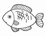 Pescado Colorear Pescados Pesce Mangiare Peixe Frito Pesci Peixinhos Desenho Pintado Te Comer Elpulpo Disegno Acolore Desenhar Peixinho Squame Carnes sketch template